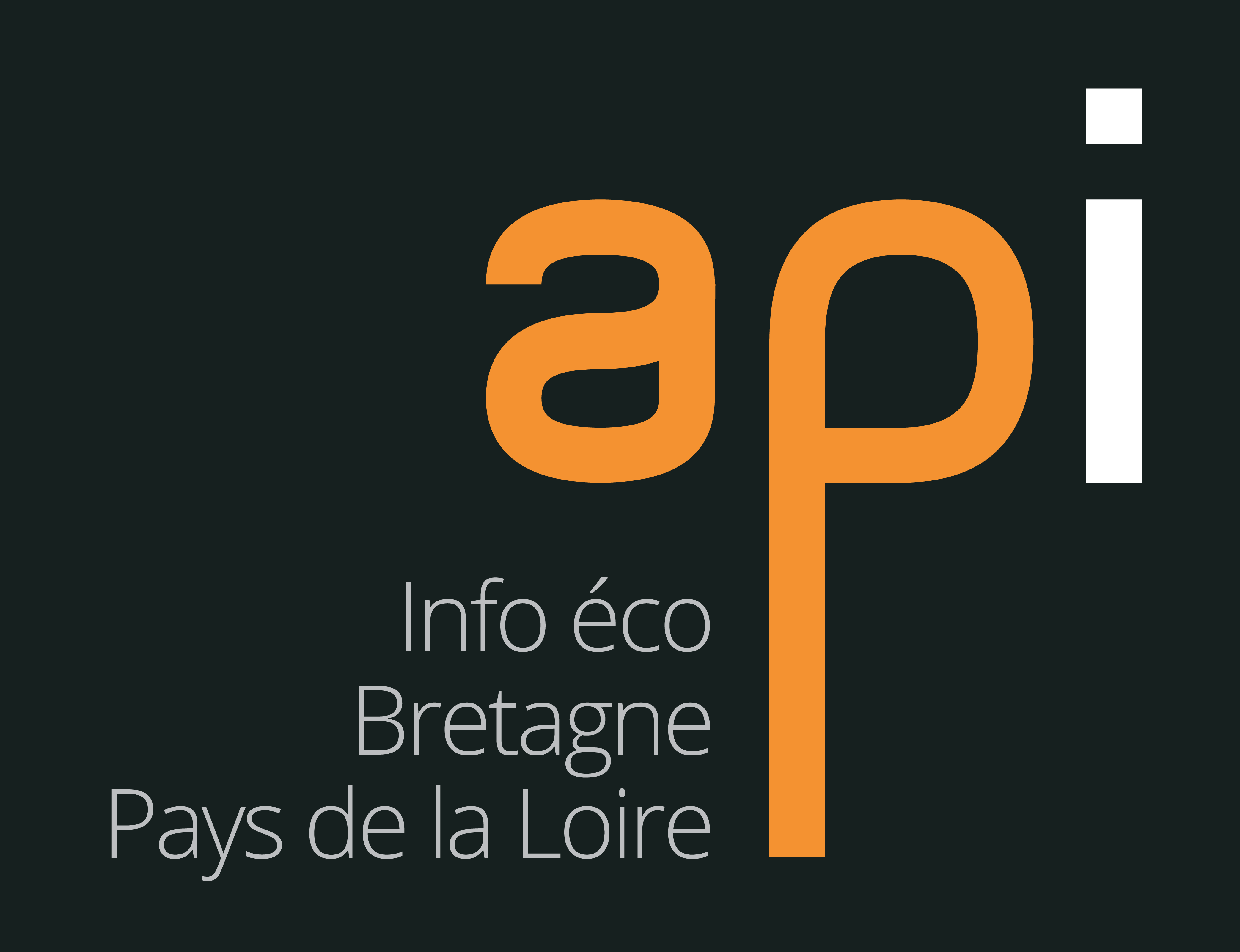 APIS логотип. Canvas API logo. Api energy