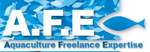 AFE CONSULTING