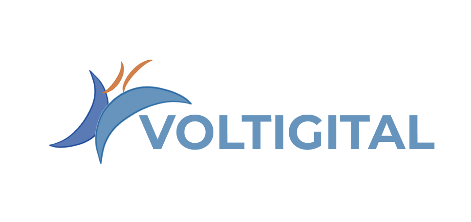 VOLTIGITAL (PROJET CARBOROK)